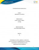 Anexo -Tarea 1– Aritmético analítico