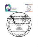 Que es Profesionalización