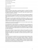 Actividad: Secuencia Didáctica “La Peluquería”