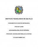 FUNDAMENTOS DE GESTION EMPRESARIAL TIPOS DE PLANES