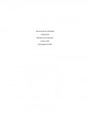 Procesos quimicos. Resistencia de materiales