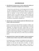 Las moléculas