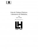 Guía de Trabajos Prácticos Laboratorio de Hidráulica 2009