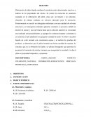 RESUMEN, PROCEDIMIENTO Y MATERIALES