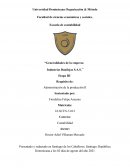 Generalidades de la empresa industrias Banilejas S.A.S