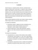 Diagnostico psicologico EL AVIADOR