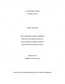 EL TRANSPORTE ÁEREO (ENTREGA FINAL)