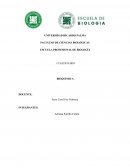 PRACTICA BIOQUIMICA