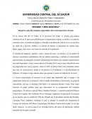 RESUMEN “LIBRO INGAPIRCA”