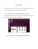 Comandos terminal linux