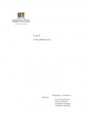 United Motors Company