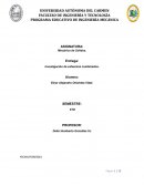 Investigación de esfuerzos combinados
