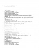 Evaluacion de proyectos CCU