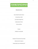 Problemática elegida: ausencia de instituciones de educación superior