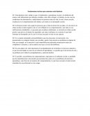 Fundamentos teóricos que sustentan cada hipótesis