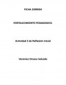 FORTALECIMIENTO PEDAGOGICO