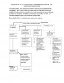 ELEMENTOS DE LA ESTRUCTURA Y SUPERESTRUCTURA DE LOS MODOS DE PRODUCCION