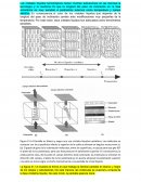 Aplicaciones de los cristales líquidos termotrópicos
