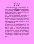 El Trastorno Obsesivo Compulsivo (TOC)