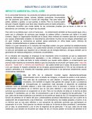 INDUSTRIA O USO DE COSMÉTICOS IMPACTO AMBIENTAL EN EL AIRE