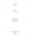 Bullying y alternativas de solución y prevención que podrían aplicarse en educación escolar básica y educación media