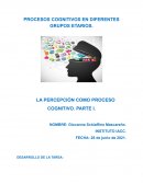 PROCESOS COGNITIVOS EN DIFERENTES GRUPOS ETARIOS