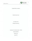 Competitividad en las empresas