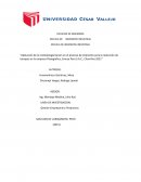 Mejora de la productividad en la flexografía