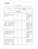Factores Externos (EFAS)