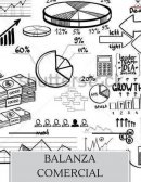 BALANZA COMERCIAL