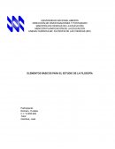 Elementos básicos para el estudio de la filosofía