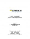 Actividad Análisis: estructura organizacional