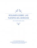 RESUMEN SOBRE: LAS FUENTES DEL DERECHO