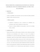 FORTALECIMIENTO DE LAS HABILIDADES SOCIO-EMOCIONALES A TRAVÉS DE LA HISTORIA DEL CONFLICTO COLOMBIANO DIRIGIDO A LOS NIÑOS Y NIÑAS DE LA ZONA RURAL