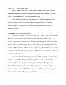 ¿Quien era John Von Neuman?