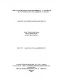 COMO GENERAR ESTRATEGIAS PARA MEJORAR EL SISTEMA DE TRANSPORTE MASIVO TRANSMILENIO EN BOGOTA