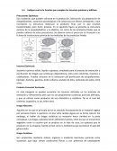 Insumos químicos y aditivos