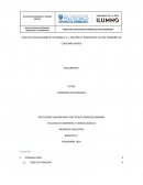 CASO DE ESTUDIO BAMBI DE COLOMBIA S.A – GESTIÓN DE TRANSPORTE EN UNA COMPAÑÍA DE CONSUMO MASIVO