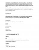 GESTIÓN ESTRATÉGICA The Hot Co