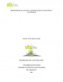 DEFINICION DEL ALCANCE DE LA INVESTIGACION