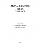 LABORAL INDIVIDUAL PARCIAL