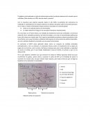 Gobierno ¿Qué sucede con el PBI, tasa de interés y precios?