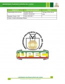 Perspectivas clave – El péndulo político 2021