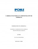 INFORME DE PRÁCTICA PROFESIONAL