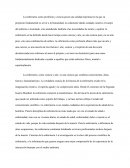 La enfermería como profesión y ciencia