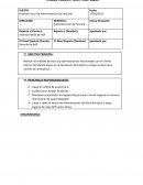 Descripción de Puesto