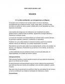 DESARROLLO SUSTENTABLE RESUMEN