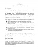 NATURALEZA DEL PROYECTO IDEA ORIGINAL