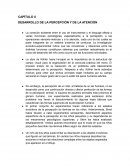 DESARROLLO DE LA PERCEPCIÓN Y DE LA ATENCIÓN