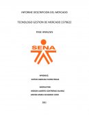 Informe descripcion del mercado
